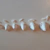 Agnello pasquale testa 8